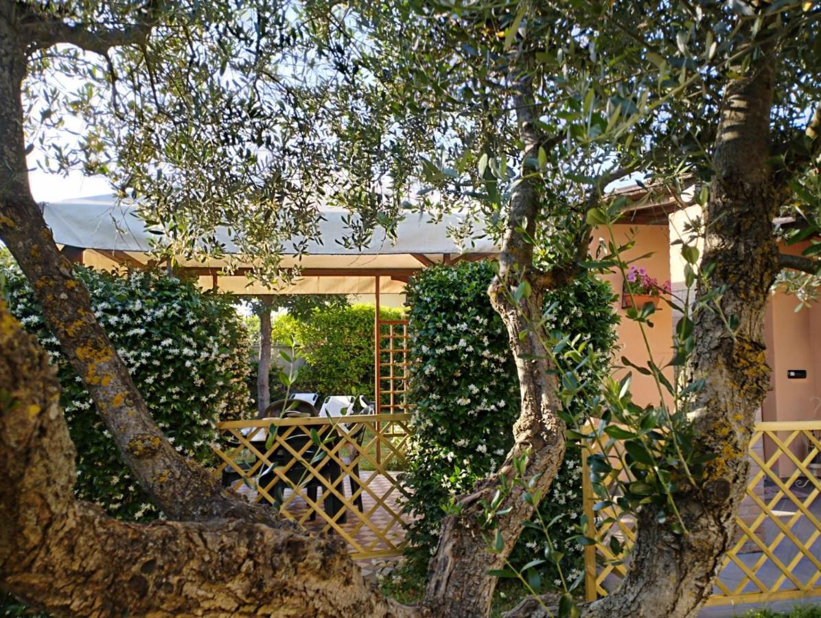 Villa Melody house - dépendance Castel del Bosco  Exterior foto