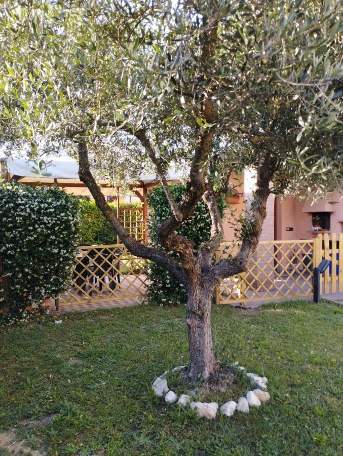 Villa Melody house - dépendance Castel del Bosco  Exterior foto